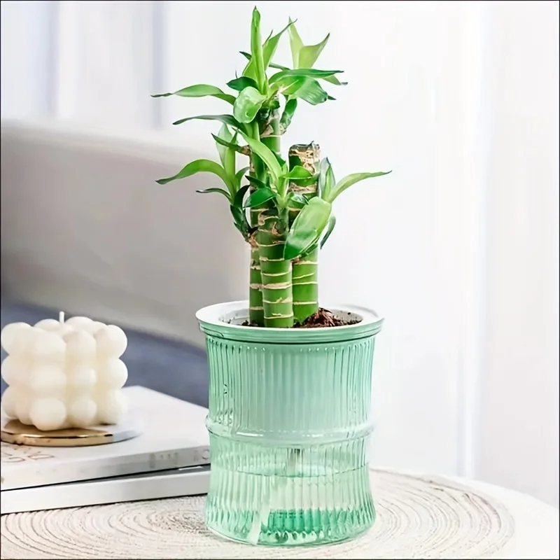 Self Watering Hydroponic Flower Pot Automatic Double Layer Planter For Effortless Indoor Plant Care 8