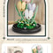 Eternal Flower Bouquet Bonsai Potted Plant Building Blocks Model Creative Puzzle Decoration for Home, Kids, and Gift