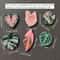 Kawaii Tropical Plant Refrigerator Magnets Begonia & Monstera Whiteboard Magnets for Home Decor