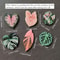 Kawaii Tropical Plant Refrigerator Magnets Begonia & Monstera Whiteboard Magnets for Home Decor
