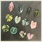Kawaii Tropical Plant Refrigerator Magnets Begonia & Monstera Whiteboard Magnets for Home Decor