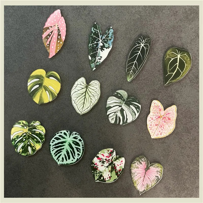 Kawaii Tropical Plant Refrigerator Magnets Begonia & Monstera Whiteboard Magnets for Home Decor