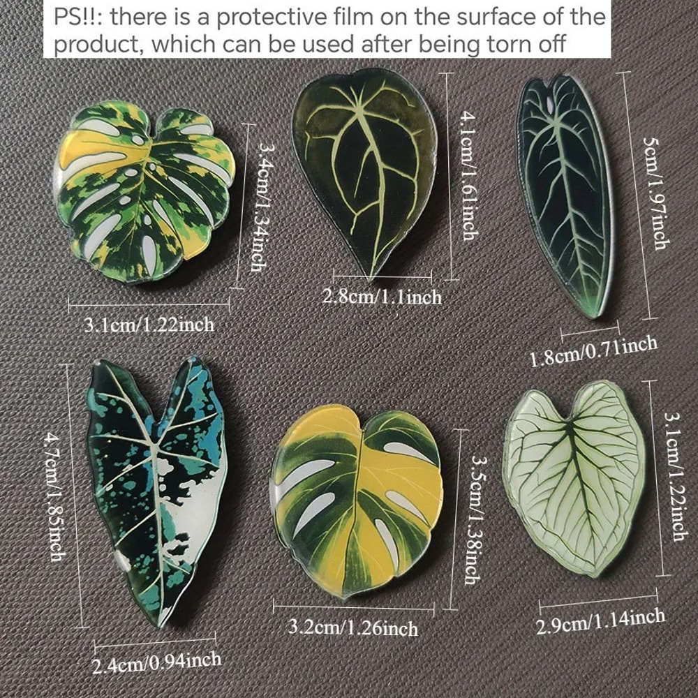 Kawaii Tropical Plant Refrigerator Magnets Begonia & Monstera Whiteboard Magnets for Home Decor