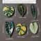 Kawaii Tropical Plant Refrigerator Magnets Begonia & Monstera Whiteboard Magnets for Home Decor