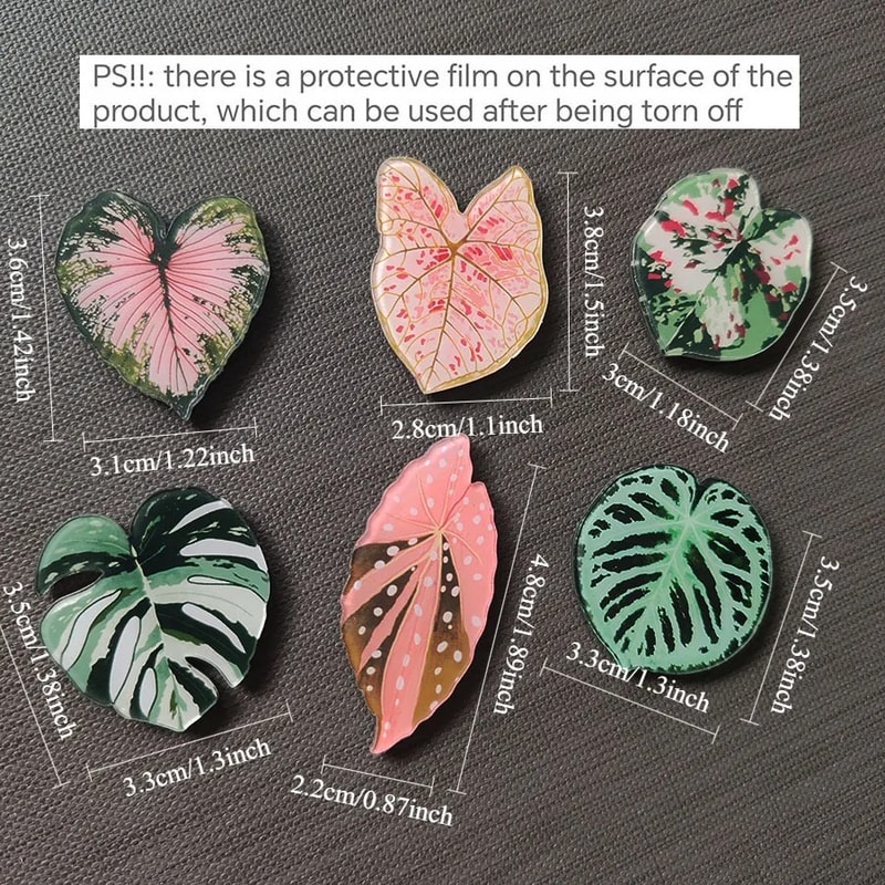 Kawaii Tropical Plant Refrigerator Magnets Begonia & Monstera Whiteboard Magnets for Home Decor