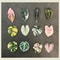 Kawaii Tropical Plant Refrigerator Magnets Begonia & Monstera Whiteboard Magnets for Home Decor