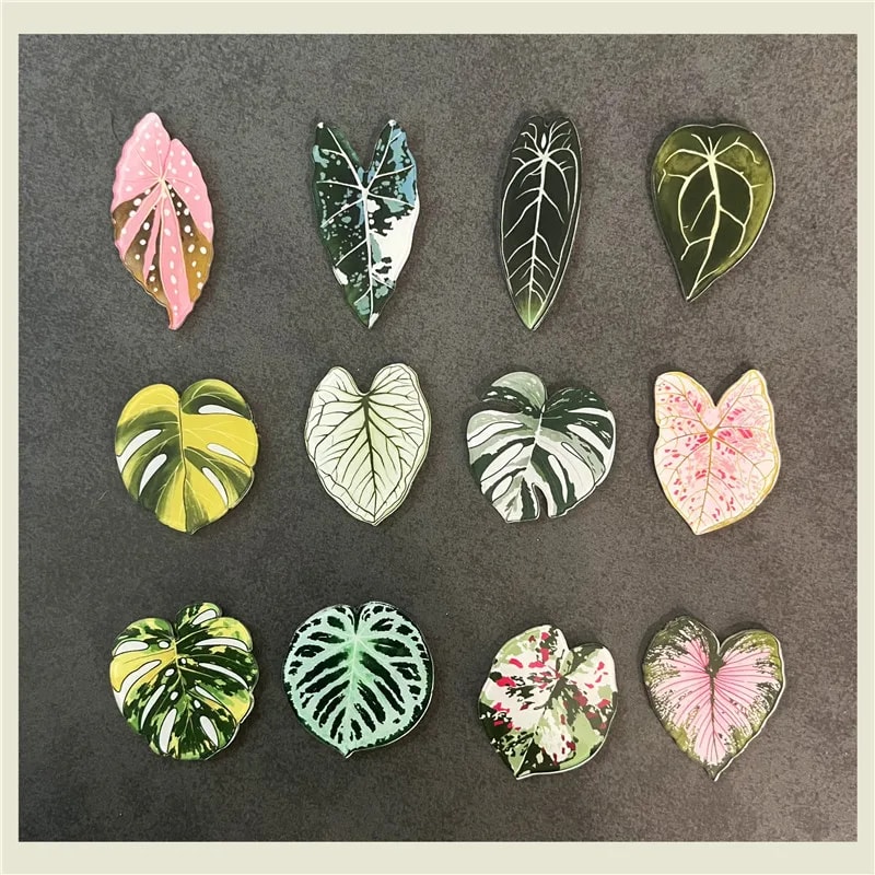 Kawaii Tropical Plant Refrigerator Magnets Begonia & Monstera Whiteboard Magnets for Home Decor