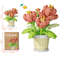 Creative Building Block Bouquet Eternal Rose Sunflower Plant Assembled Building Block Toy Gift 2