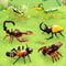 Insect Building Blocks Set DIY Animal Model Puzzle Toy For Kids 0