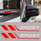 Premium Sports Car Vinyl Scratch Guard Decal for Door & Mirror