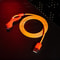 Neon Genesis Evangelion PD Fast Charging Type C Cable 2