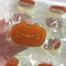 Cute Cat Cheese Bread Squishy Stress Relief Toy Soft Slow Rebound Squeeze 6