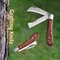 Professional Folding Grafting Knife Precision Fruit Tree Grafting Pruning Tool With Wooden Handle 1