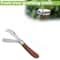 Professional Folding Grafting Knife Precision Fruit Tree Grafting Pruning Tool With Wooden Handle 2