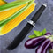 Premium Japanese Survival Knife Outdoor Camping Straight Blade