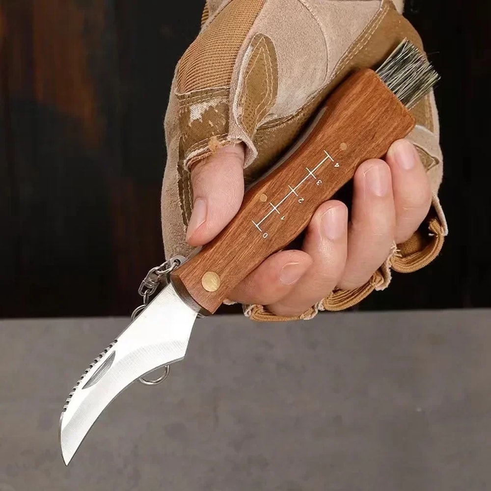 Premium Outdoor Stainless Steel Folding Knife Mini Mushroom, Hunting & Survival