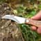 Premium Outdoor Stainless Steel Folding Knife Mini Mushroom, Hunting & Survival