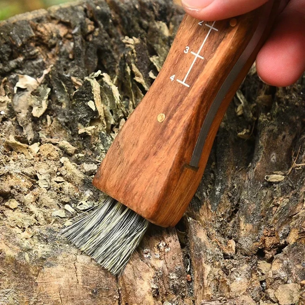 Premium Outdoor Stainless Steel Folding Knife Mini Mushroom, Hunting & Survival