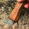 Premium Outdoor Stainless Steel Folding Knife Mini Mushroom, Hunting & Survival