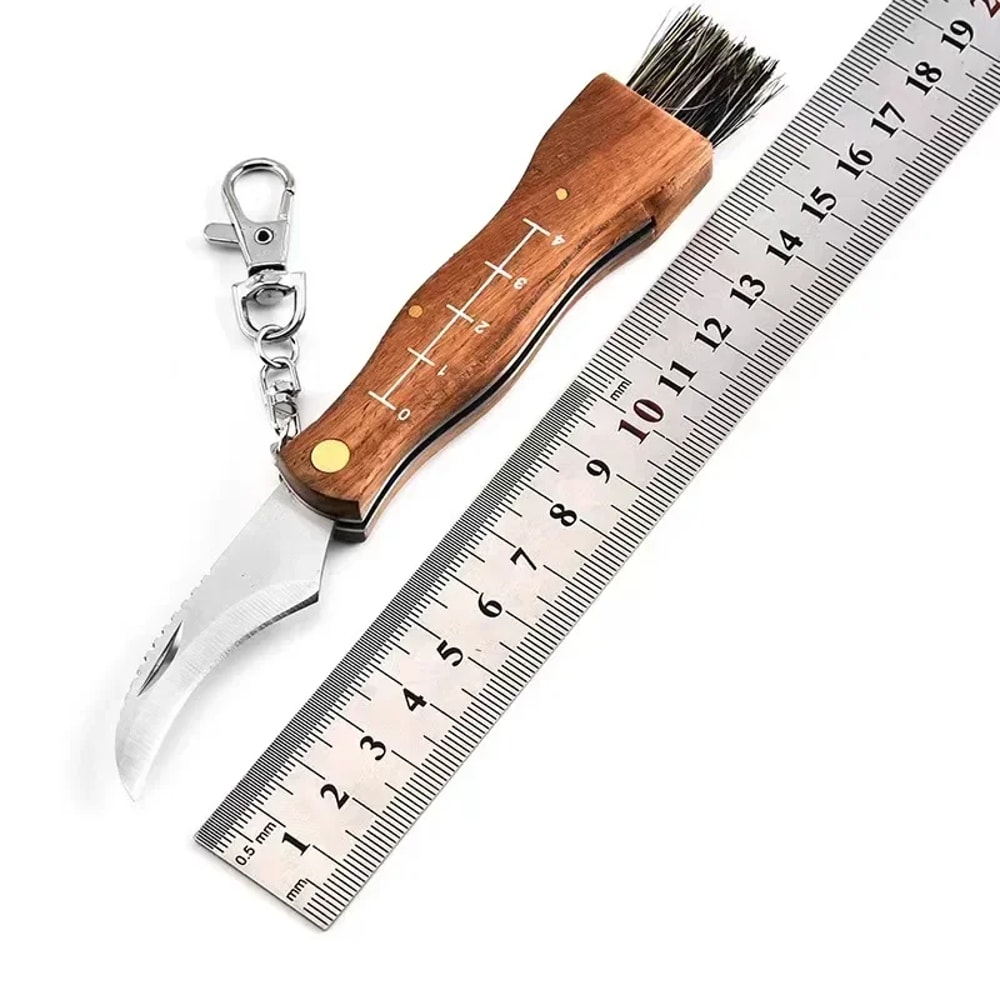 Premium Outdoor Stainless Steel Folding Knife Mini Mushroom, Hunting & Survival