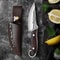 Premium Sharp Boning Knife Stainless Steel Multi Purpose Kitchen & Camping Knife