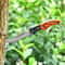 Mini Keychain Folding Knife Compact Outdoor Survival Pocket Blade