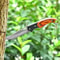 Mini Keychain Folding Knife Compact Outdoor Survival Pocket Blade