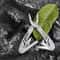 Premium Stainless Steel Multitool Pliers Knife Portable Camping Survival Tool For Men Dad Gifts 2