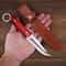 Premium Stainless Steel Fruit Knife Durable Kitchen & Camping Tool