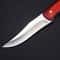 Premium Stainless Steel Fruit Knife Durable Kitchen & Camping Tool