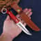 Premium Stainless Steel Fruit Knife Durable Kitchen & Camping Tool