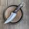 Premium Handmade Chef Knife High Carbon Stainless Steel Kitchen Knife