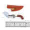 Premium Wooden Handle Camping Knife Sharp Small Utility Knife for Outdoor & Gifts