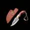 Premium Wooden Handle Camping Knife Sharp Small Utility Knife for Outdoor & Gifts