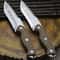 Ultimate Outdoor Survival Knife Jungle & Camping Blade