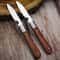 Premium Steel Multi Function Pocket Knife for Camping