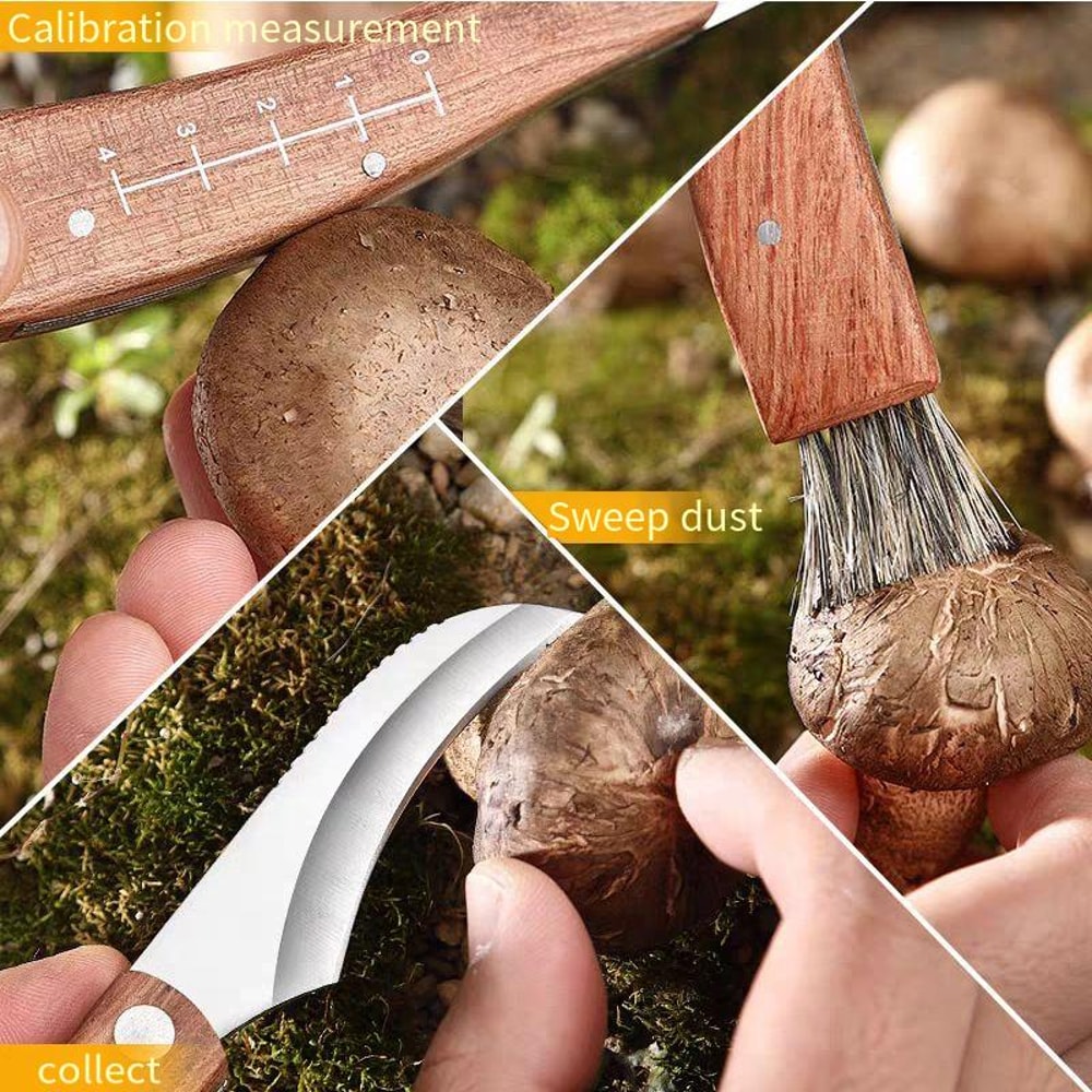 Multifunctional Folding Mushroom Knife Stainless Steel Outdoor Tool 2