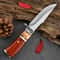 Mahogany Handle Fixed Blade Camping Knife For Outdoor Survival 1