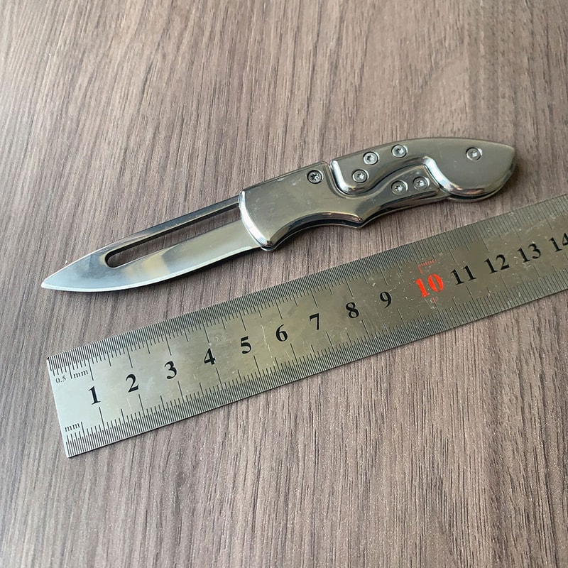Compact Stainless Steel Mini Folding Knife Portable Pocket Knife for Outdoor Camping & Survival