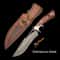 Damascus Steel Small Straight Outdoor Utility Knife for Camping and Fruit Cutting