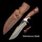 Damascus Steel Small Straight Outdoor Utility Knife for Camping and Fruit Cutting