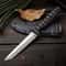 Multi Function Stainless Steel Outdoor Knife for Camping BBQ and Kitchen Prep