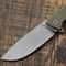 Petrified Fish Steel Folding Knife With Grip 3