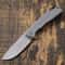 Petrified Fish Steel Folding Knife With Grip 9