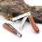 Folding Grafting Knife for Bonsai Pruning and Seedling Tree Cutting