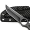 Premium Hunting & Survival Knife with Kydex Sheath