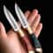 Premium Outdoor Pocket Knife & Blade with BBQ and Boning Precision