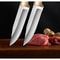 Premium Outdoor Pocket Knife & Blade with BBQ and Boning Precision