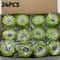Rolls Camo Self Adhesive Bandage Wrap for Sports First Aid