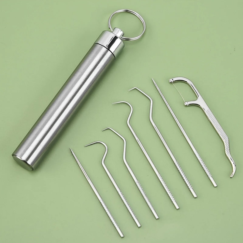 Premium Stainless Steel Toothpick Set Reusable Teeth Cleaner & Tartar Remover